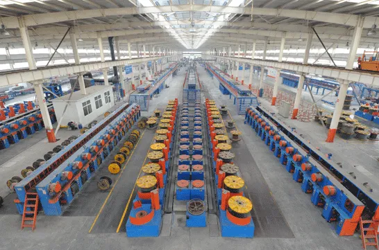 Testing & Validation